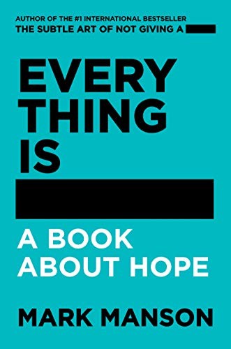 Sampul Everything Is -
